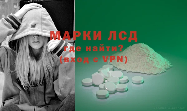 мдпв Абаза