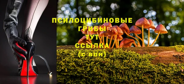 первитин Каменка