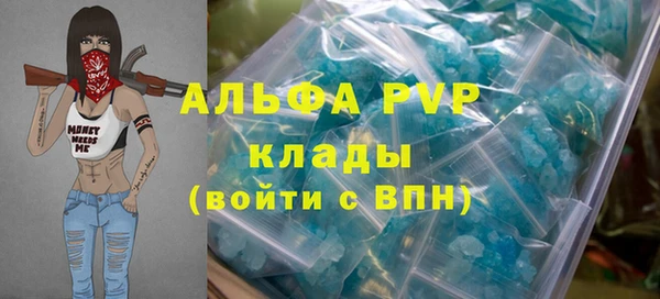 скорость Каменногорск