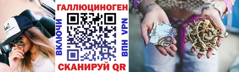 купить  цена  Инза  Галлюциногенные грибы Psilocybe 
